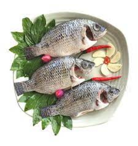 Cá rô phi làm sạch