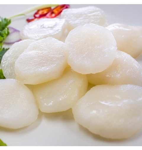 Còi Sò Vòm Tươi