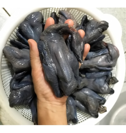 Gà ác nhỏ 1 con