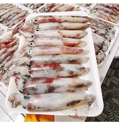 Mực Trứng Phú Quốc Loại 1, 500g