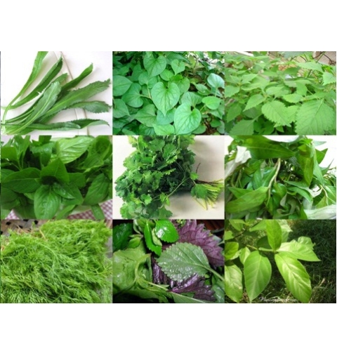 Rau Sống/Rau Thơm Các Loại