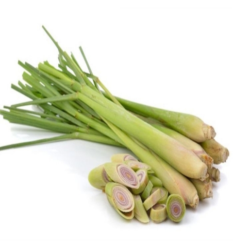 Sả Cây