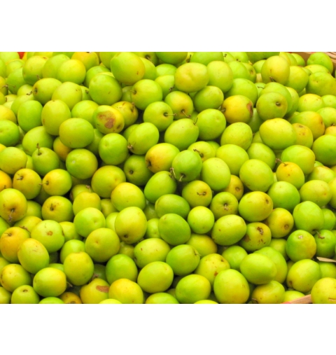 Táo Hà Nội/Táo Bắc